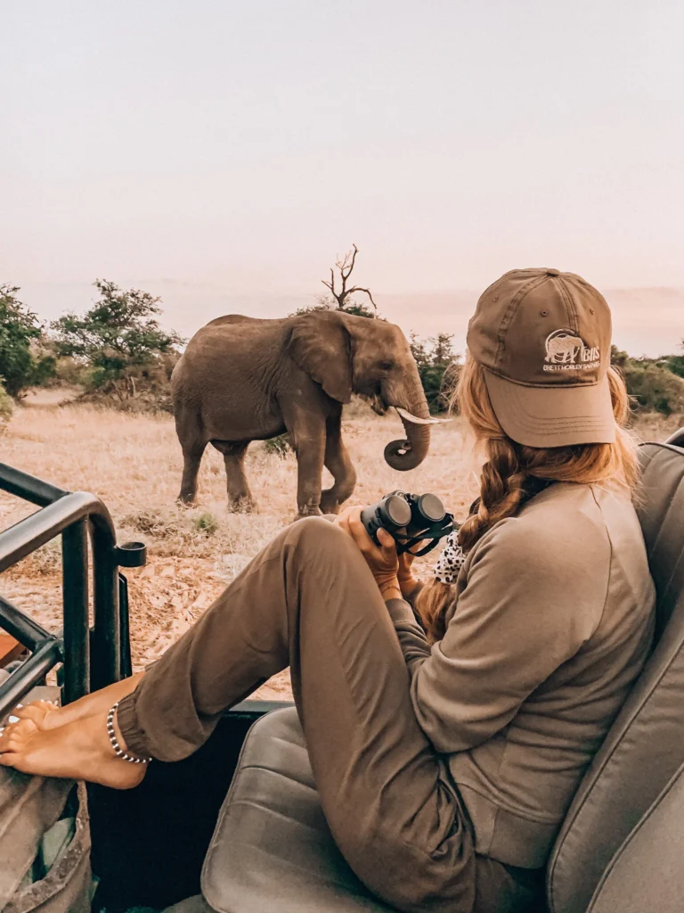 safari africa website