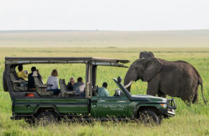 How to Build a Safari & Travel Website That Actually Converts Bookings (Not Just Looks Pretty)